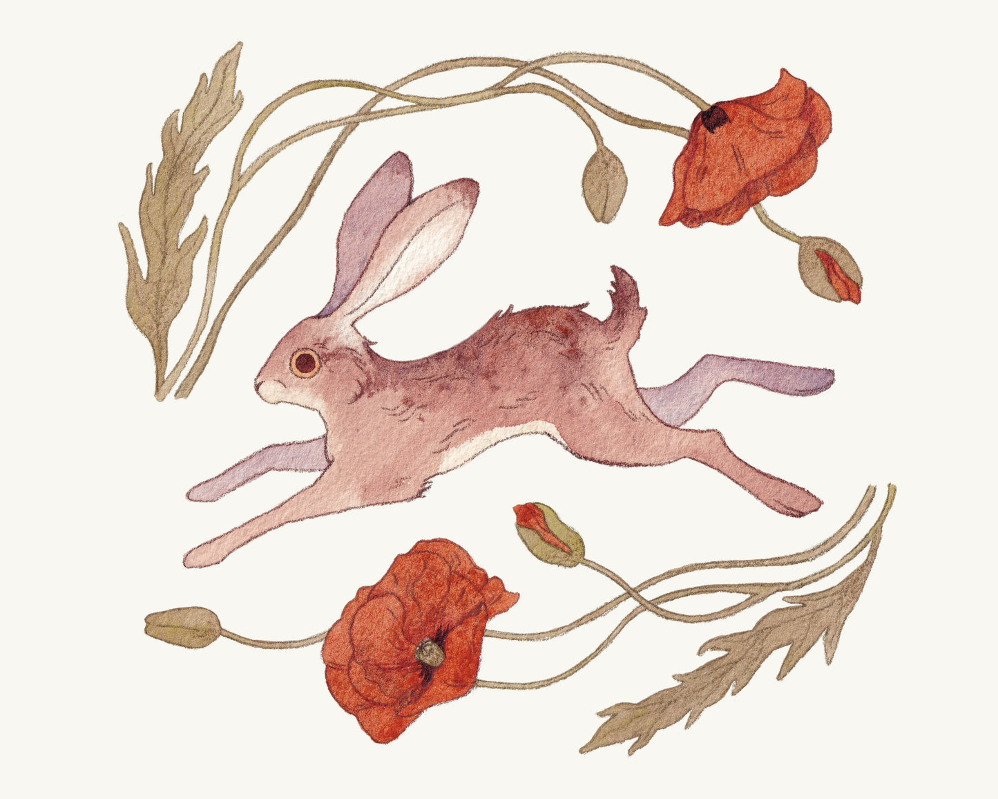 Hare and Poppies (Original)